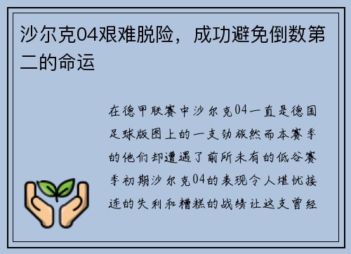 沙尔克04艰难脱险，成功避免倒数第二的命运